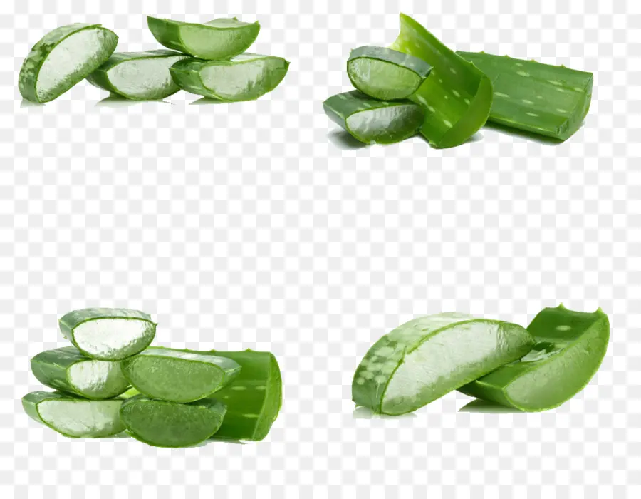 Aloe Vera，Aloína PNG