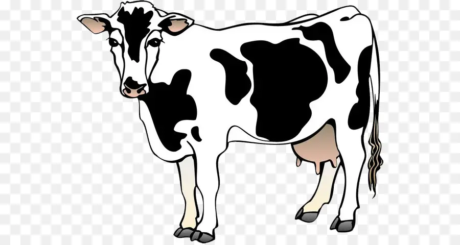 Ganado Holstein Friesian，Ganado Lechero PNG