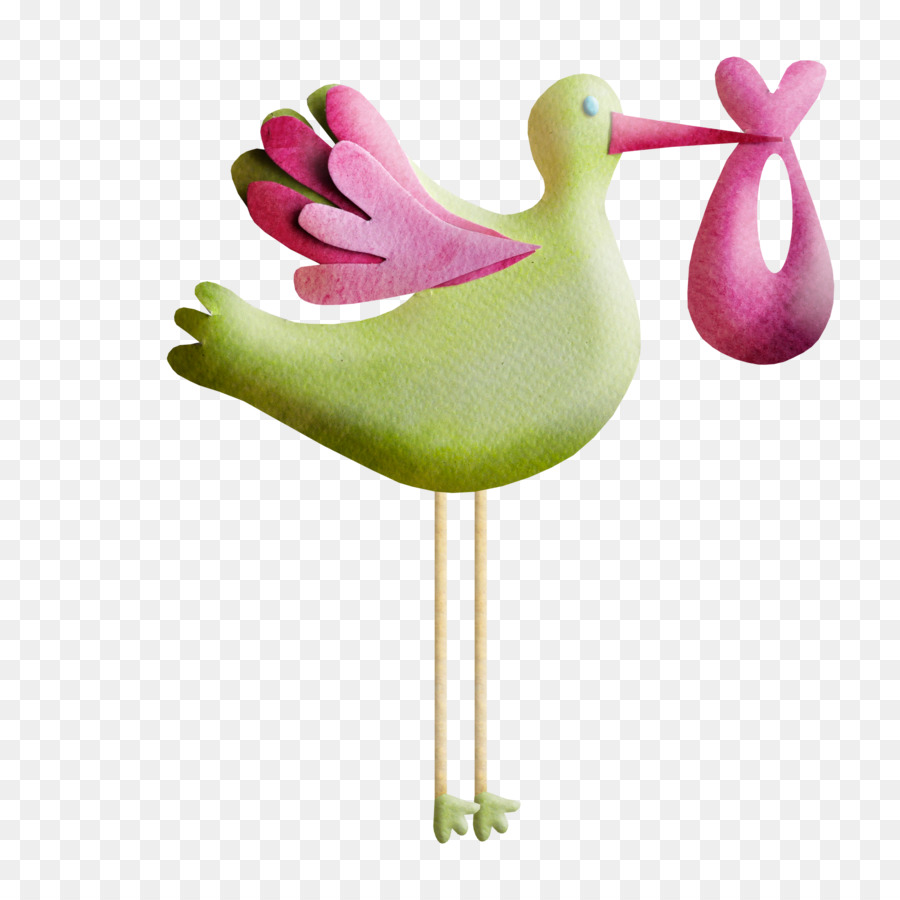 Pájaro，Cygnini PNG