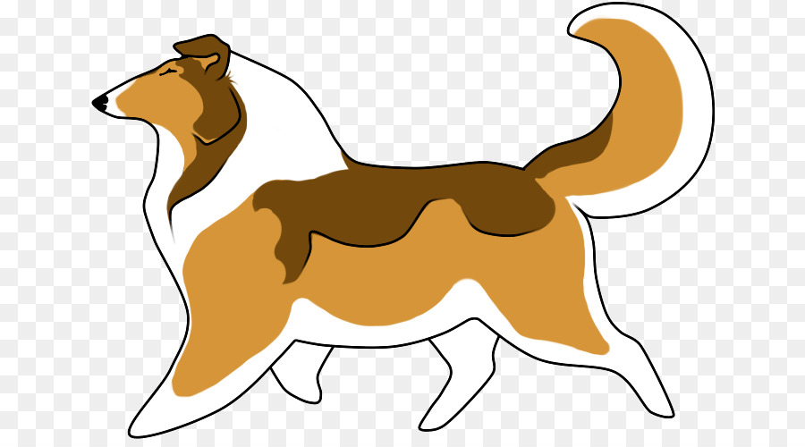 Rough Collie，Border Collie PNG