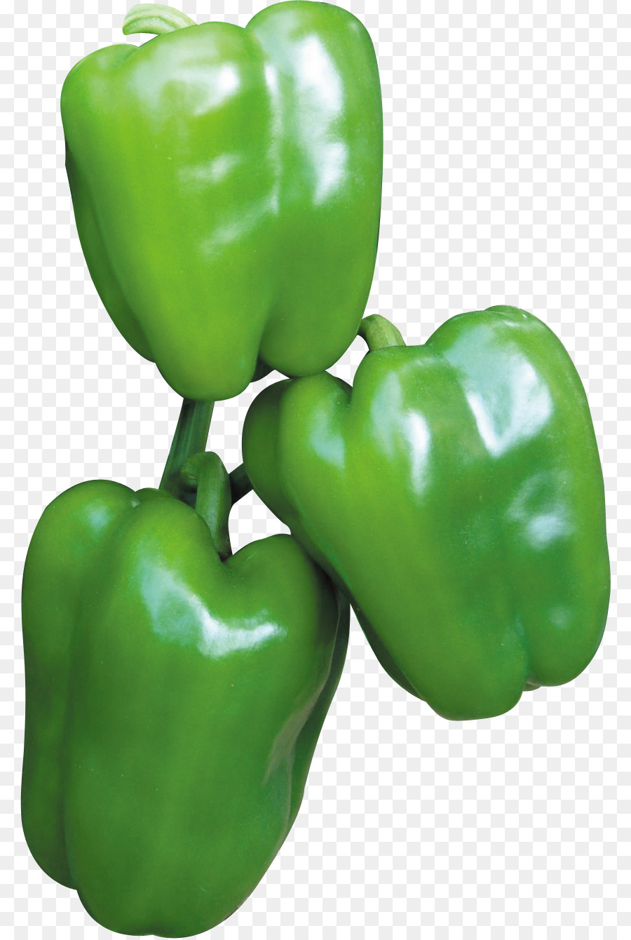 Pimienta De Chile，Pimiento PNG