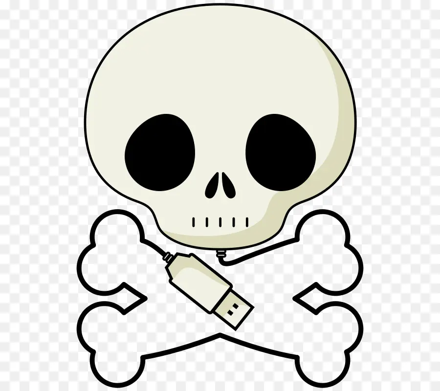 Calavera Y Usb，Huesos PNG