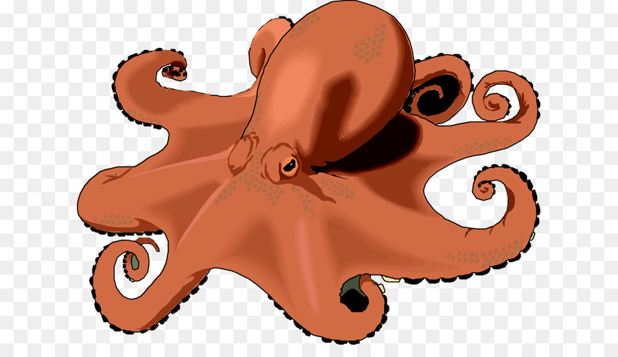 Pulpo，Tentáculos PNG