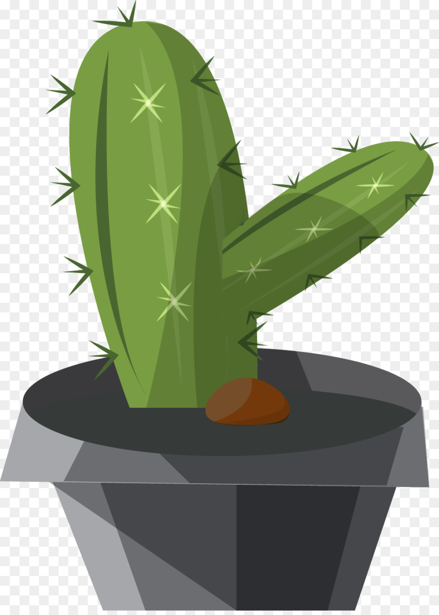 Cactaceae，Dibujos Animados PNG