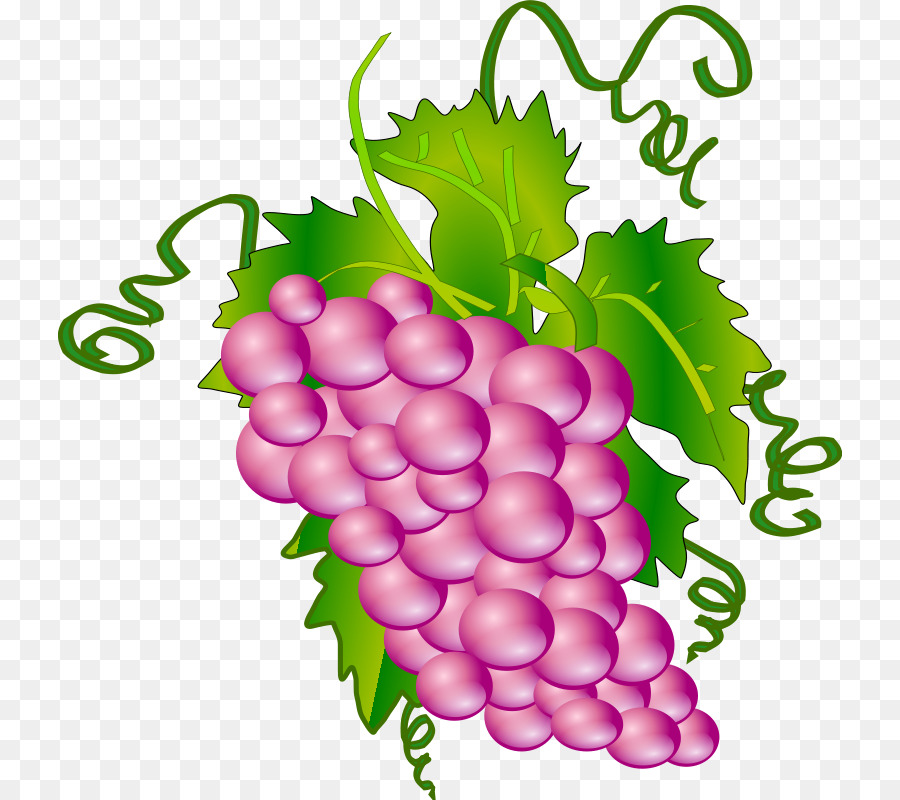 Común De La Uva De La Vid，Vino PNG