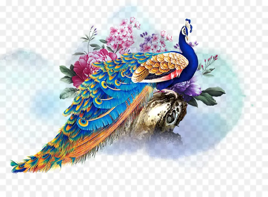 Diseño Gráfico，Pavo Real PNG