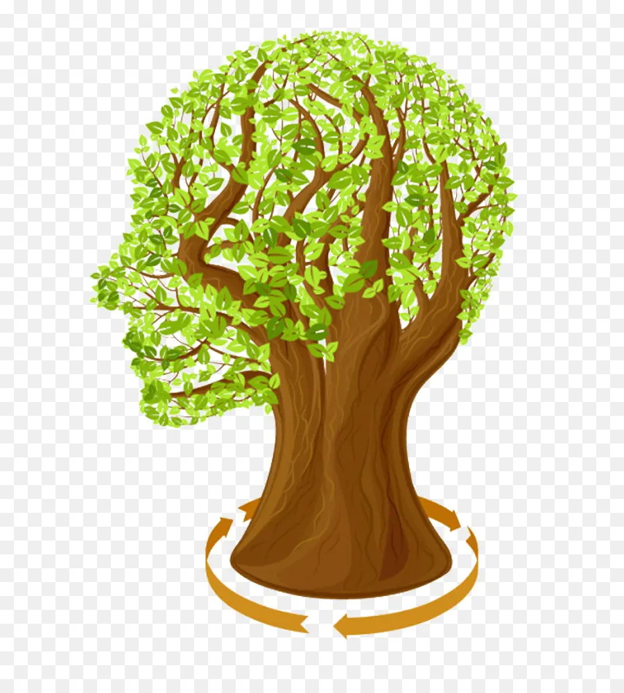 árbol，Royaltyfree PNG