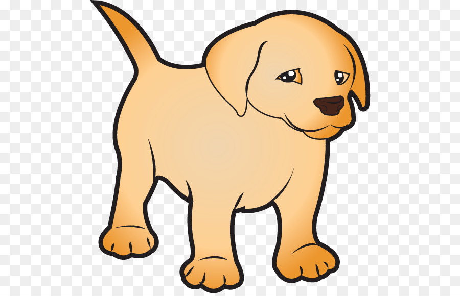 Labrador Retriever，Yorkshire Terrier PNG