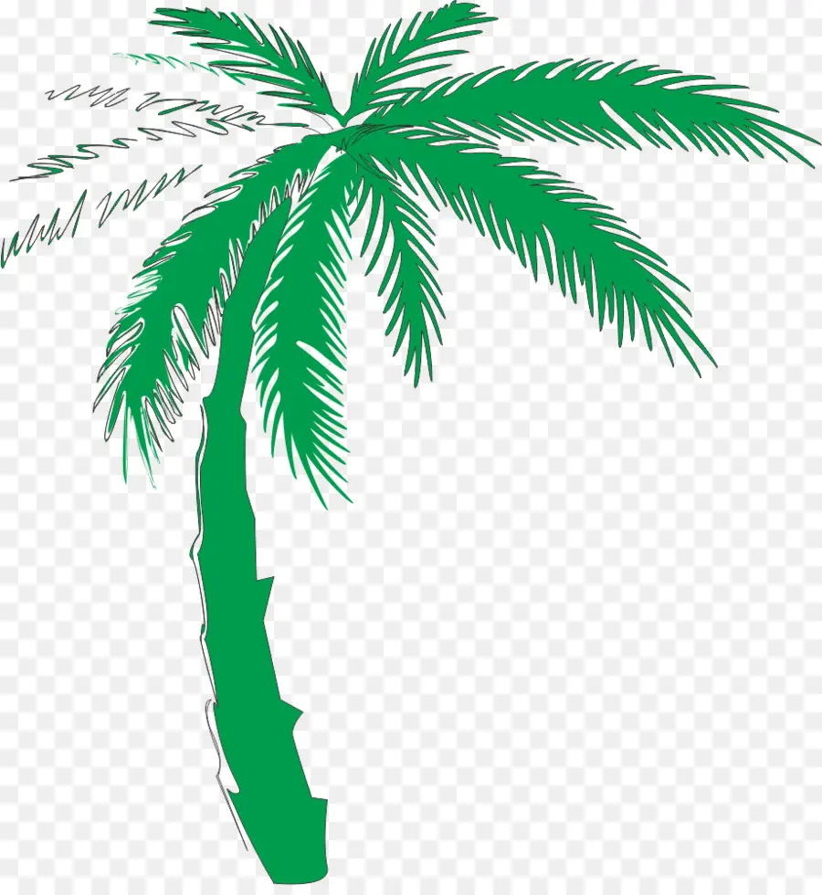 Palmera，Árbol PNG