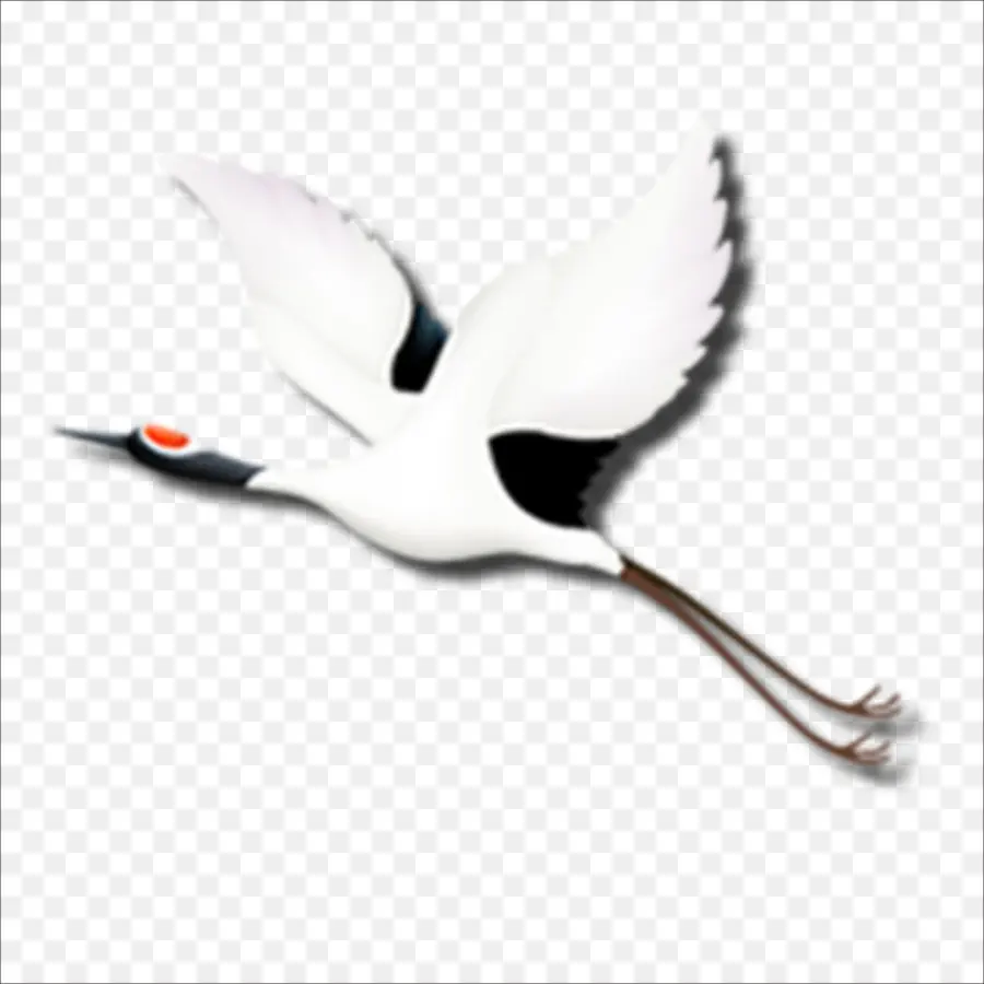 Grúa，Vuelo PNG