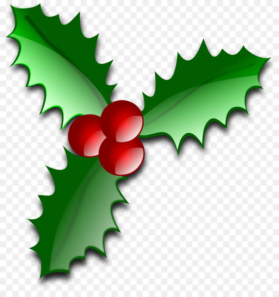 Acebo Común，Navidad PNG