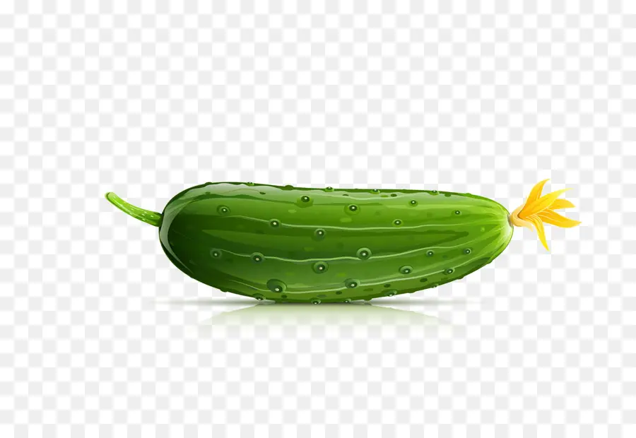 Pepino，Dibujo PNG