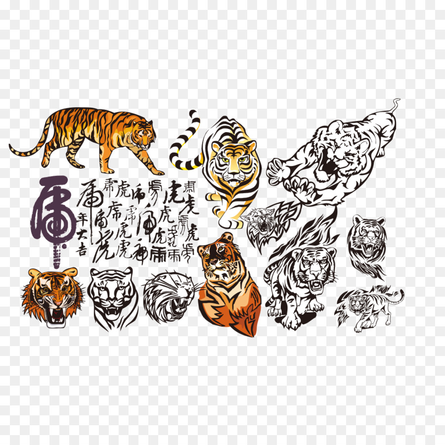 Ilustraciones De Tigre，Tigre PNG