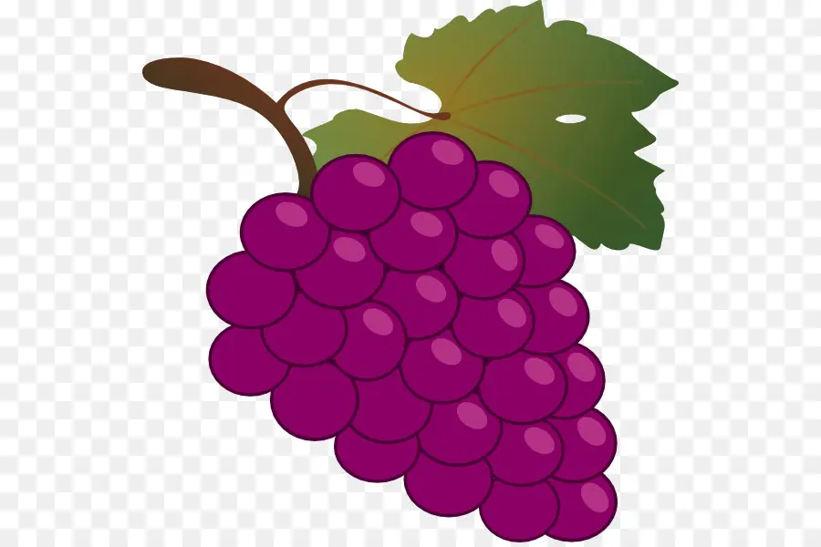 Uvas，Enredadera PNG