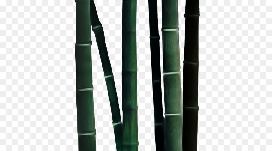 Bambú，Bambusa Oldhamii PNG