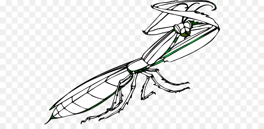 Los Insectos，Mantis PNG