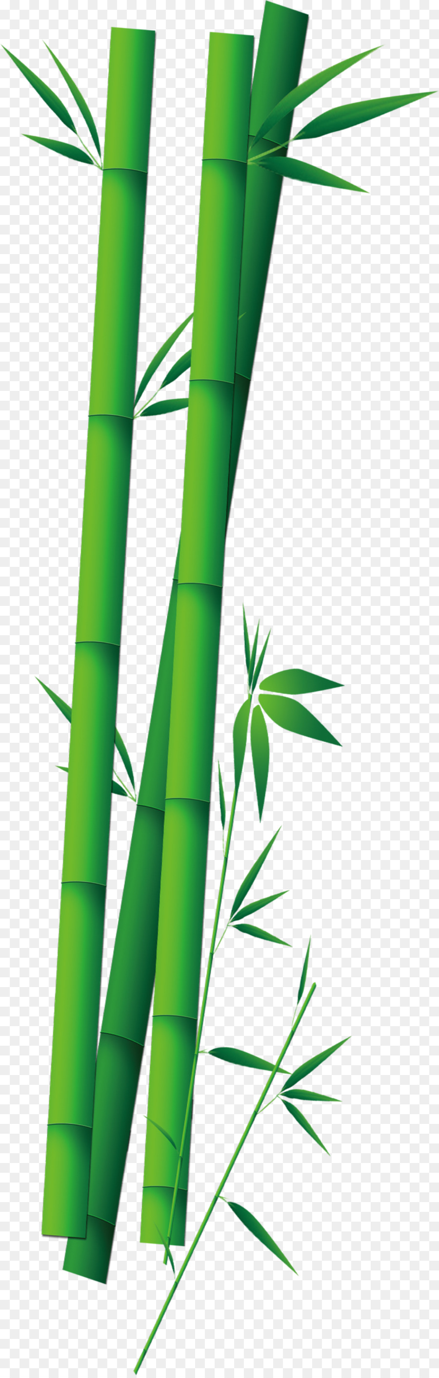 Zongzi，Bambú PNG