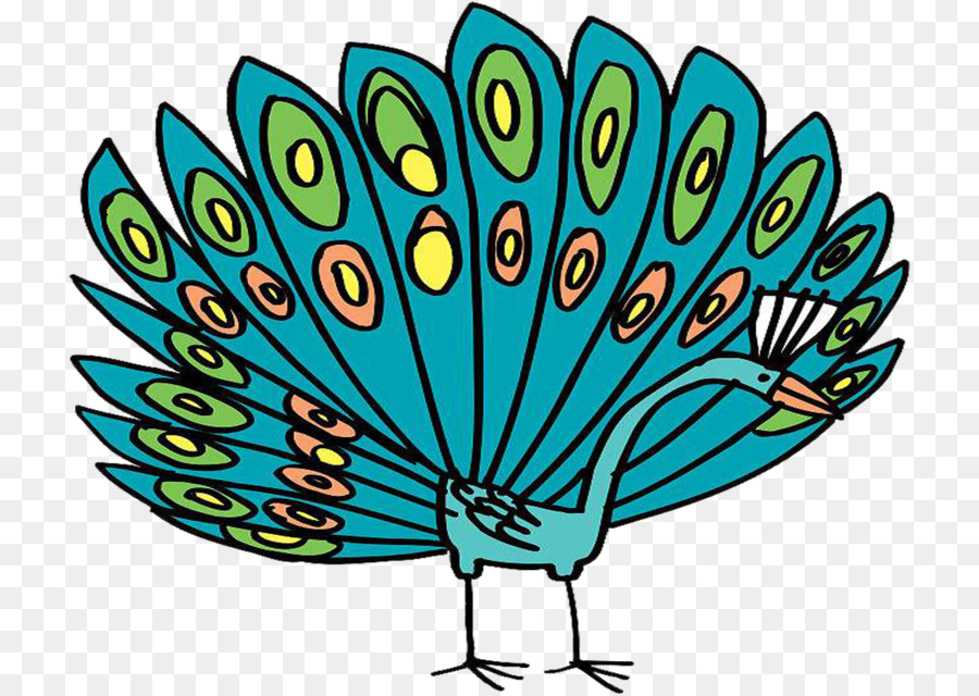 Pavo Real，Pluma PNG