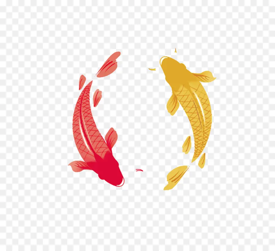 Koi，Koinobori PNG