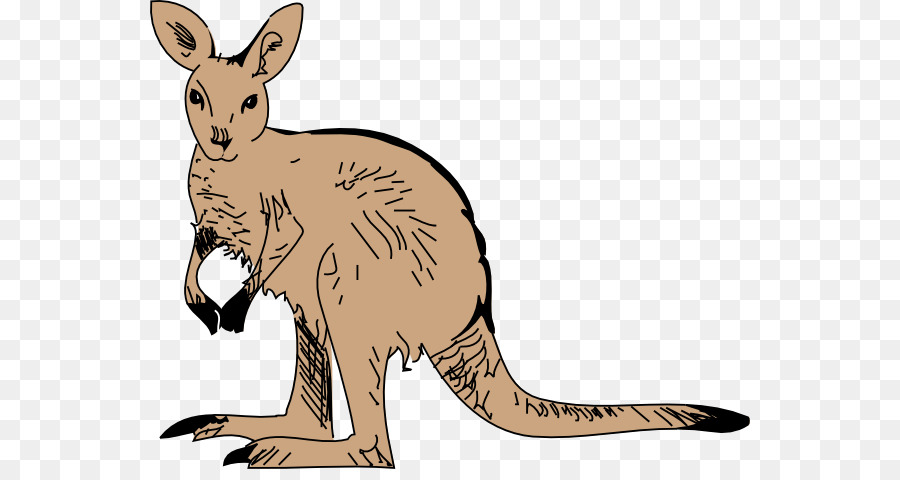 Canguro，Marsupial PNG