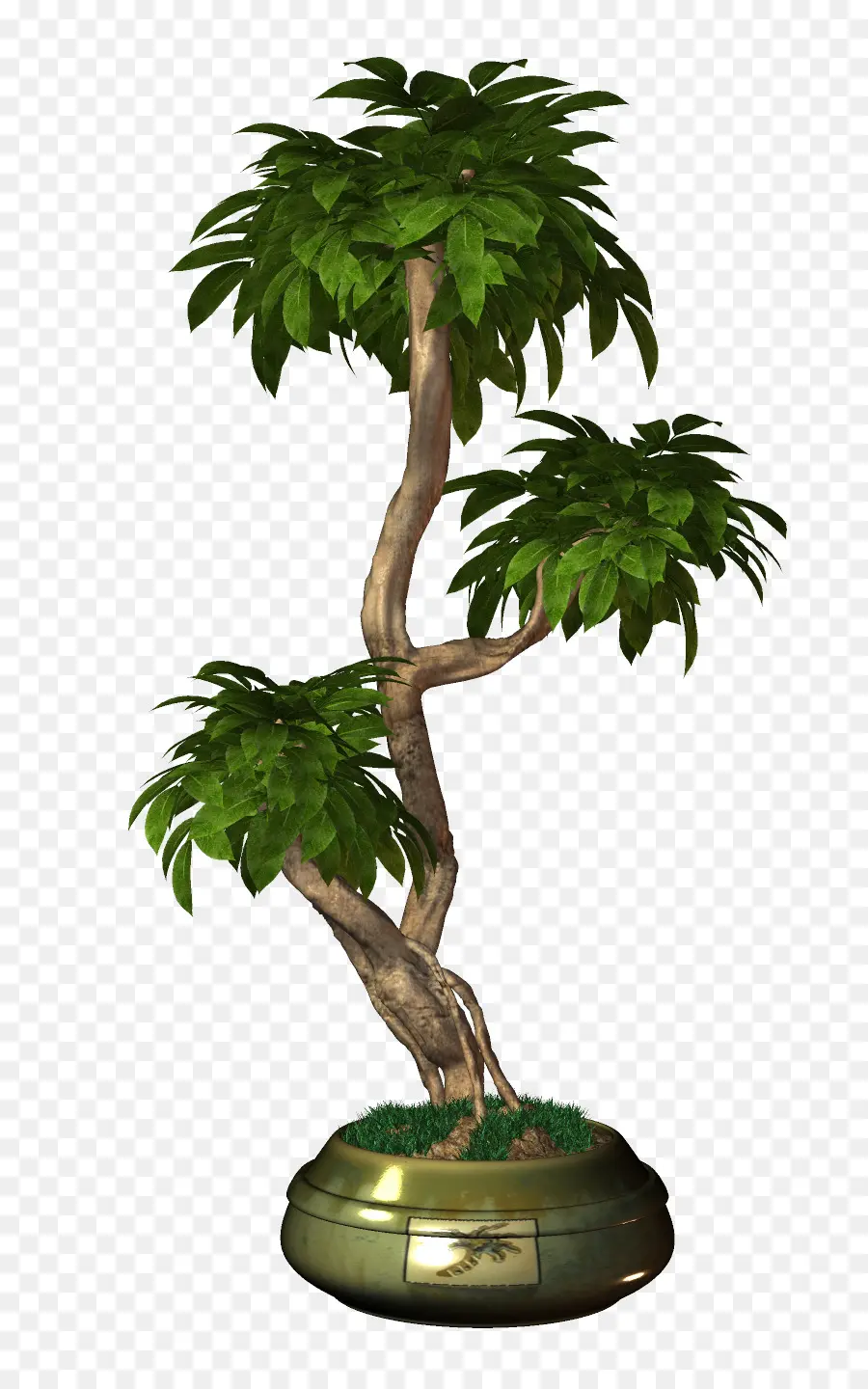 Bonsái，Árbol PNG