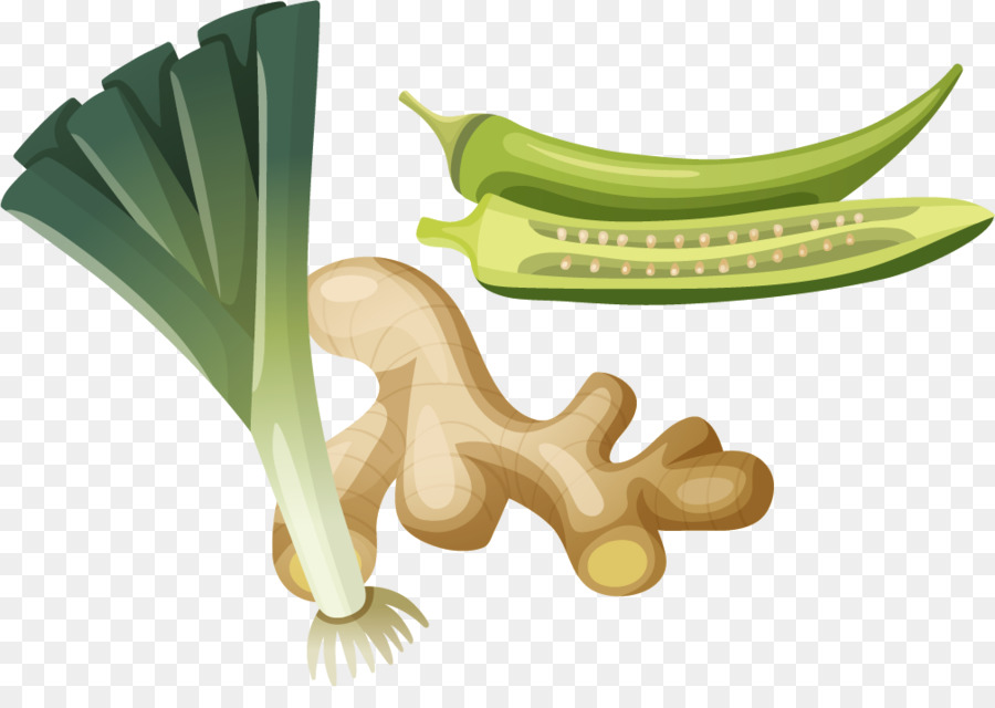 Vegetal，La Comida PNG