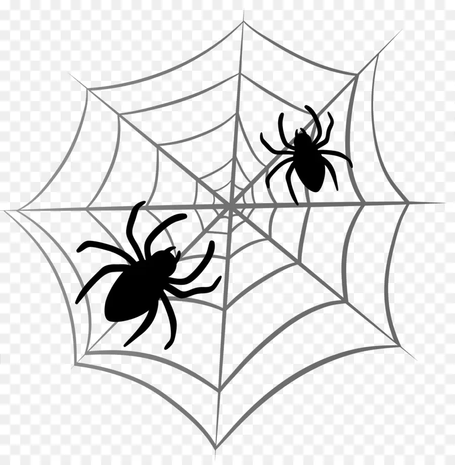 Araña En La Web，Web PNG