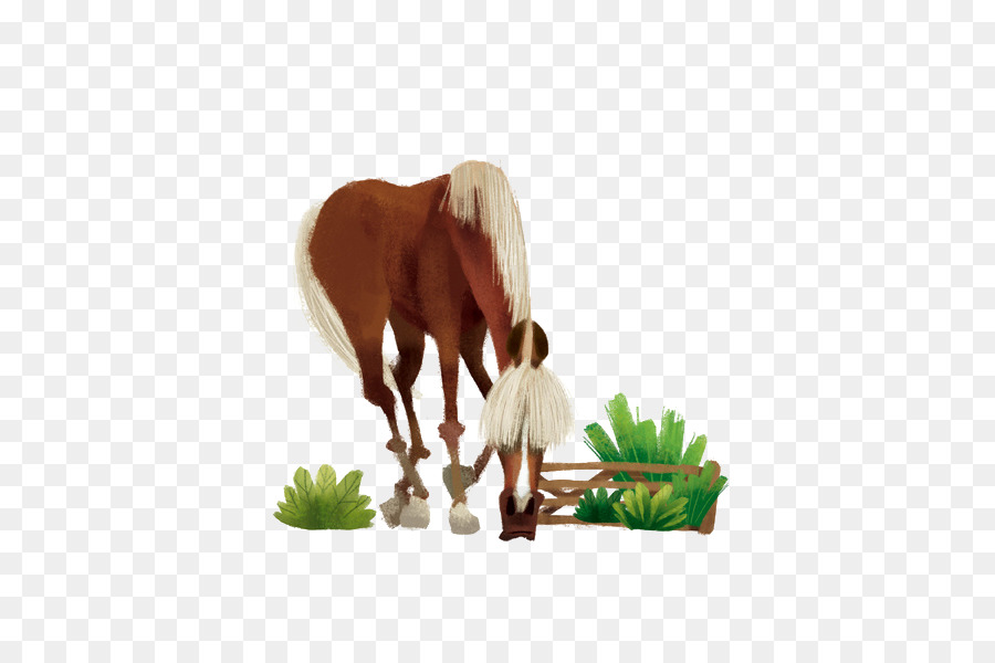 Pony，Caballo PNG