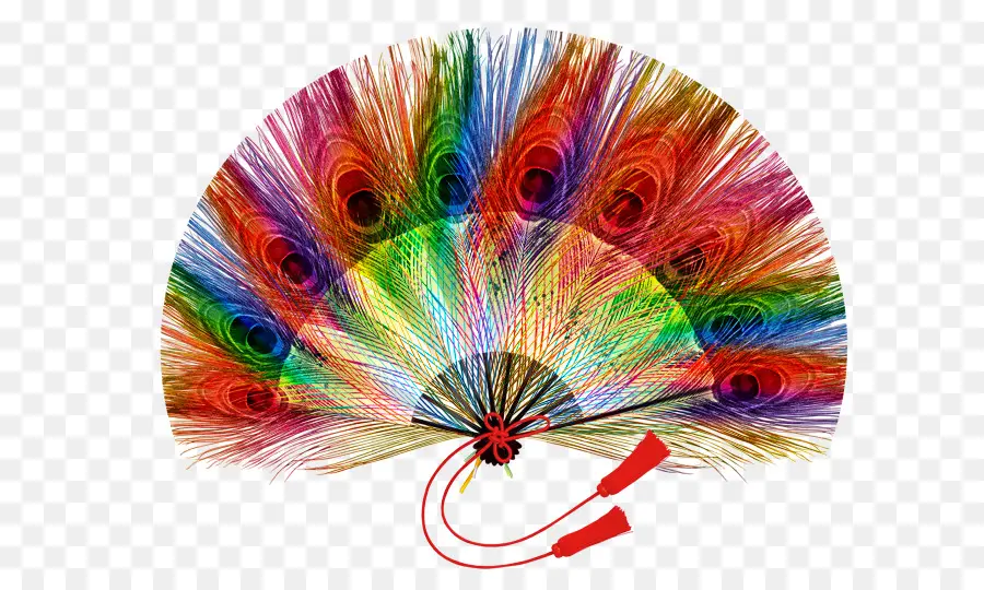 Abanico De Plumas De Pavo Real，Vistoso PNG