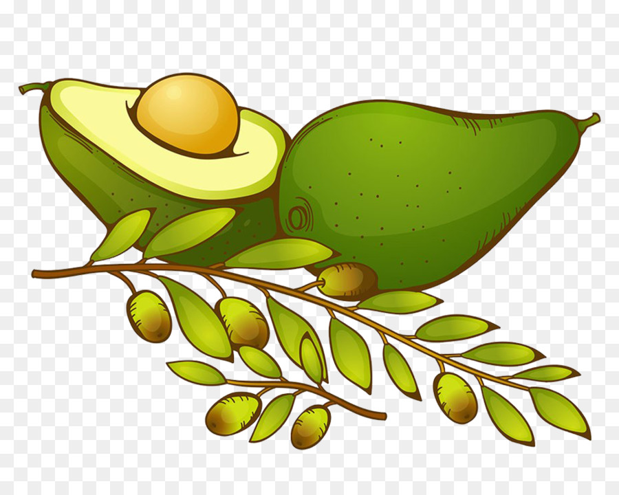 Aguacate，Pera PNG