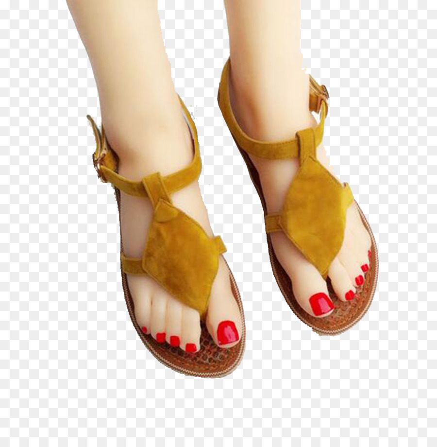 Zapatilla，Sandalia PNG