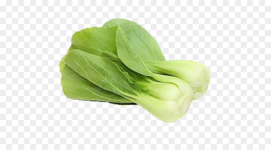 Bok Choy，Vegetal PNG