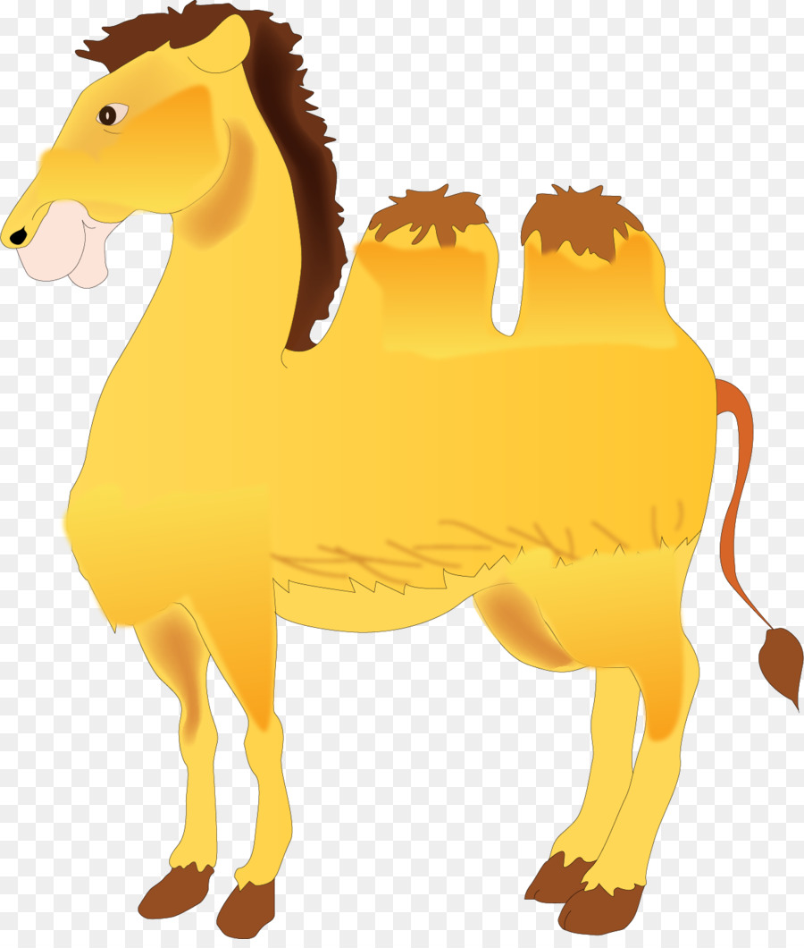 Caballo De Dibujos Animados，Poni PNG