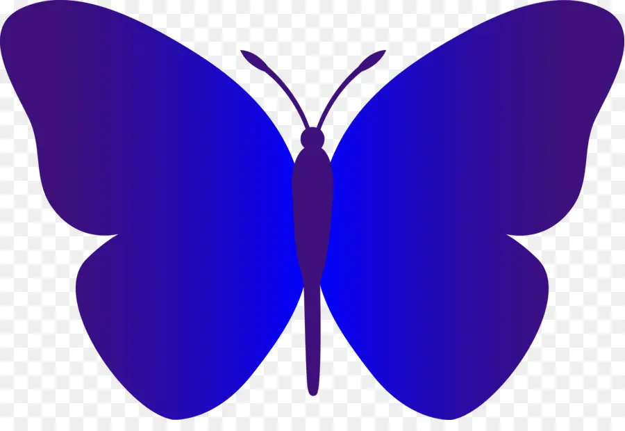 Mariposa，En Blanco Y Negro PNG