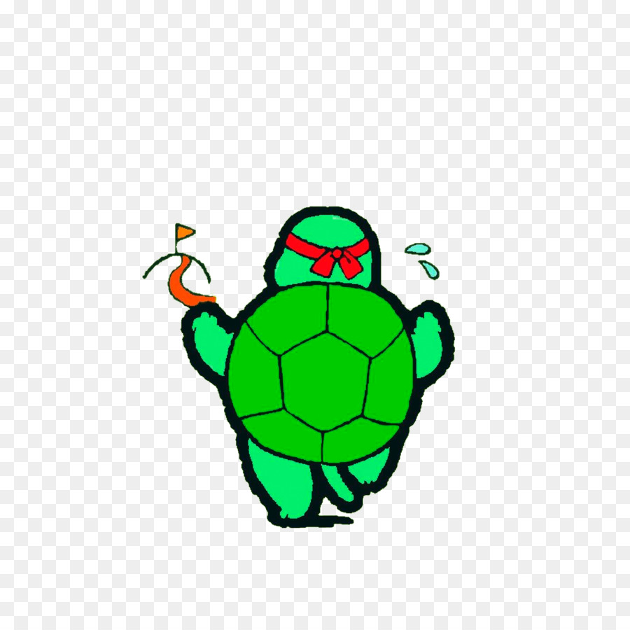 Tortuga，Gráficos Ráster PNG