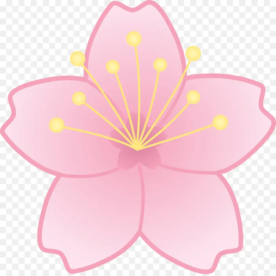 De Los Cerezos En Flor，Dibujo PNG