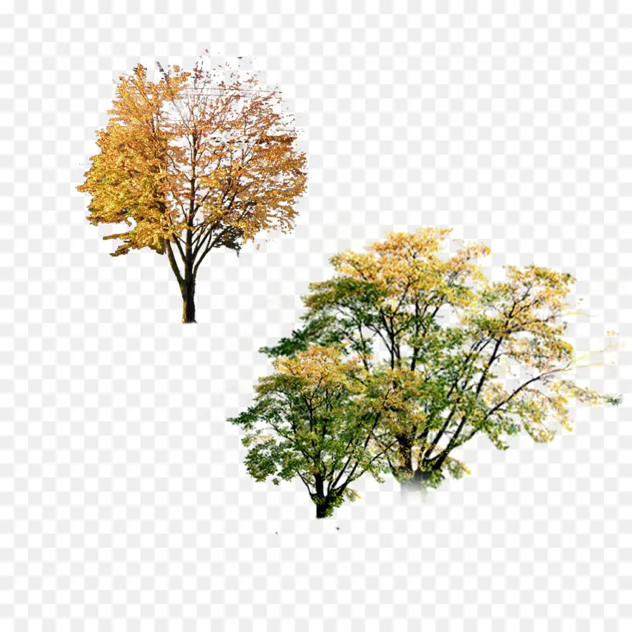 Otoño，Cartel PNG