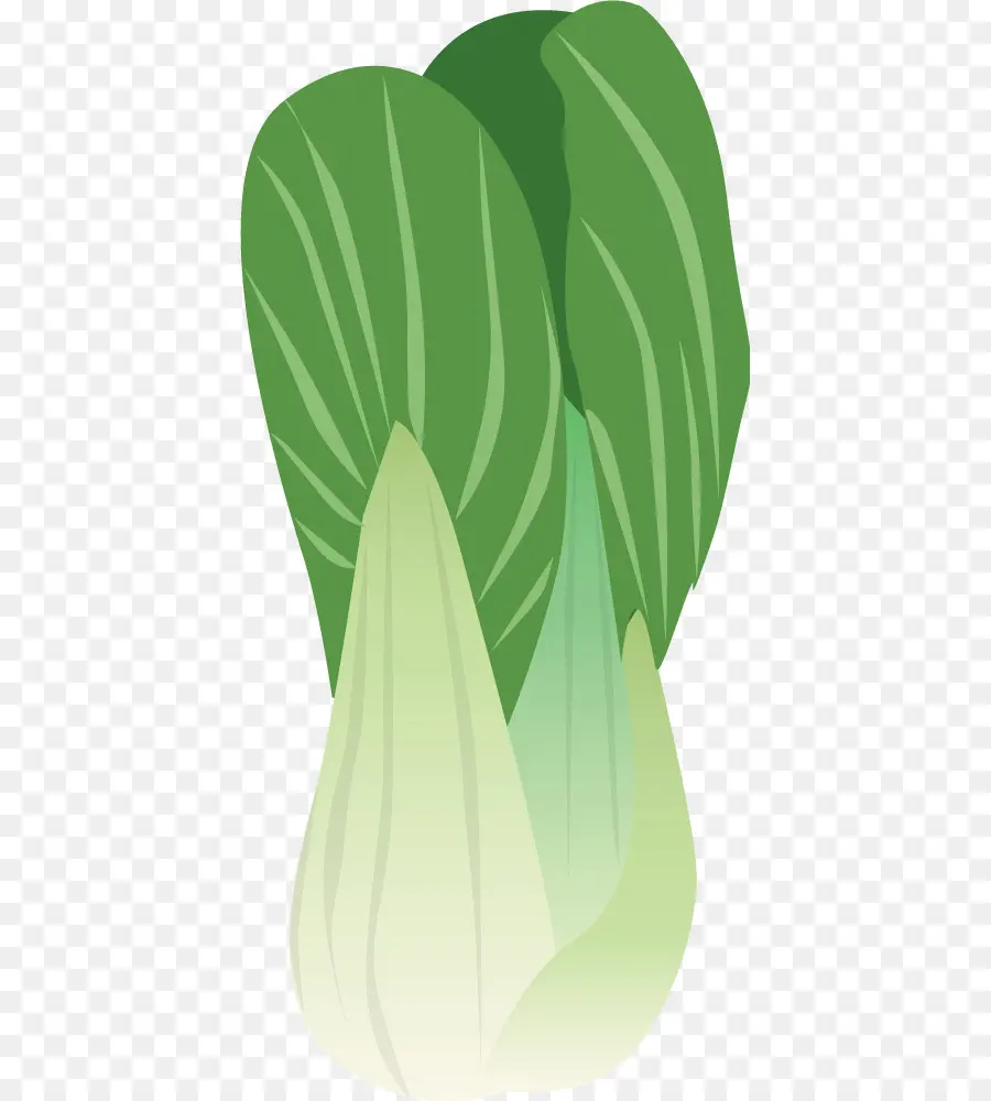 Bok Choi，Verde PNG