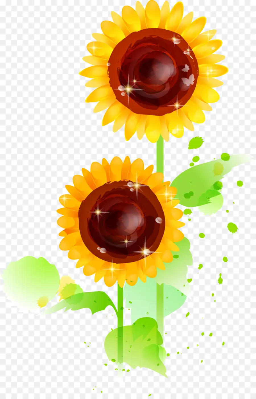 Común De Girasol，Postscript Encapsulado PNG