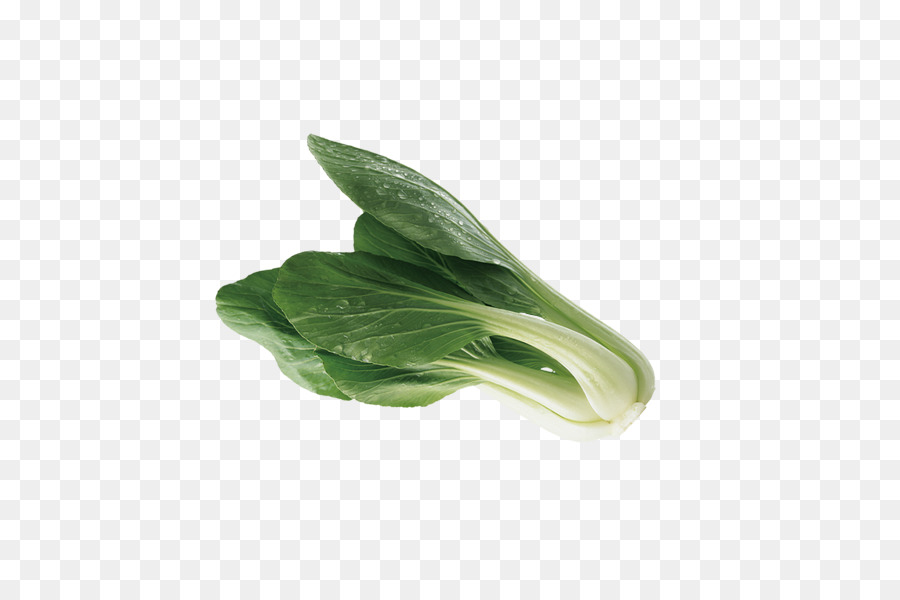 Bok Choi，Verde PNG