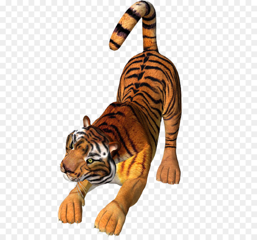 Tigre，Fauna PNG