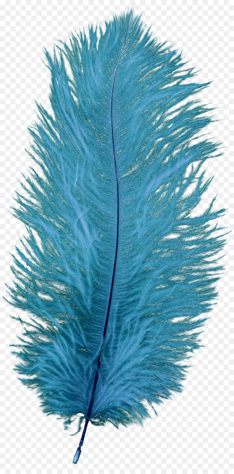 Pluma，Azul PNG