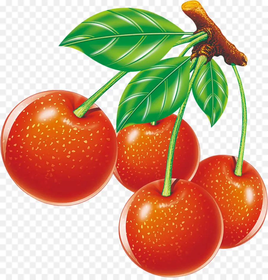 Cherry，Fresa PNG