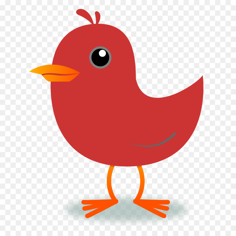 Pájaro，Rojo PNG