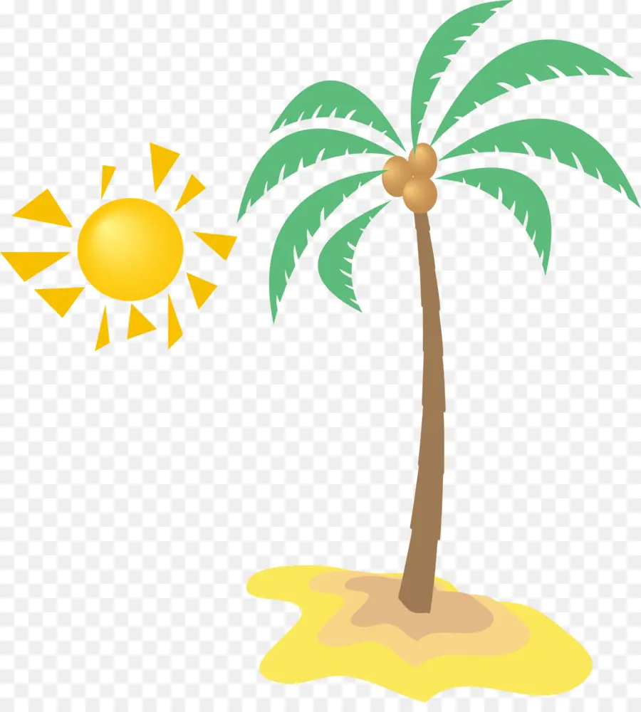 Palmera，Playa PNG