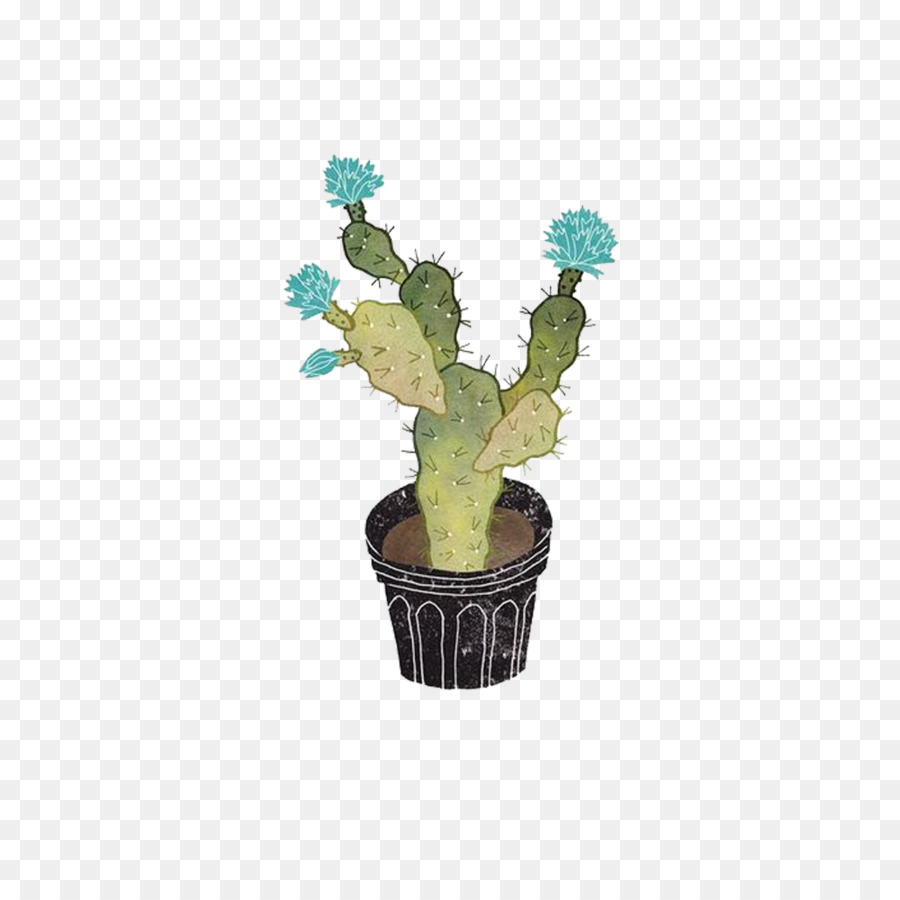 Cactaceae，Planta PNG