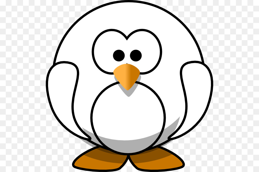 Penguin，Whiteflippered Penguin PNG