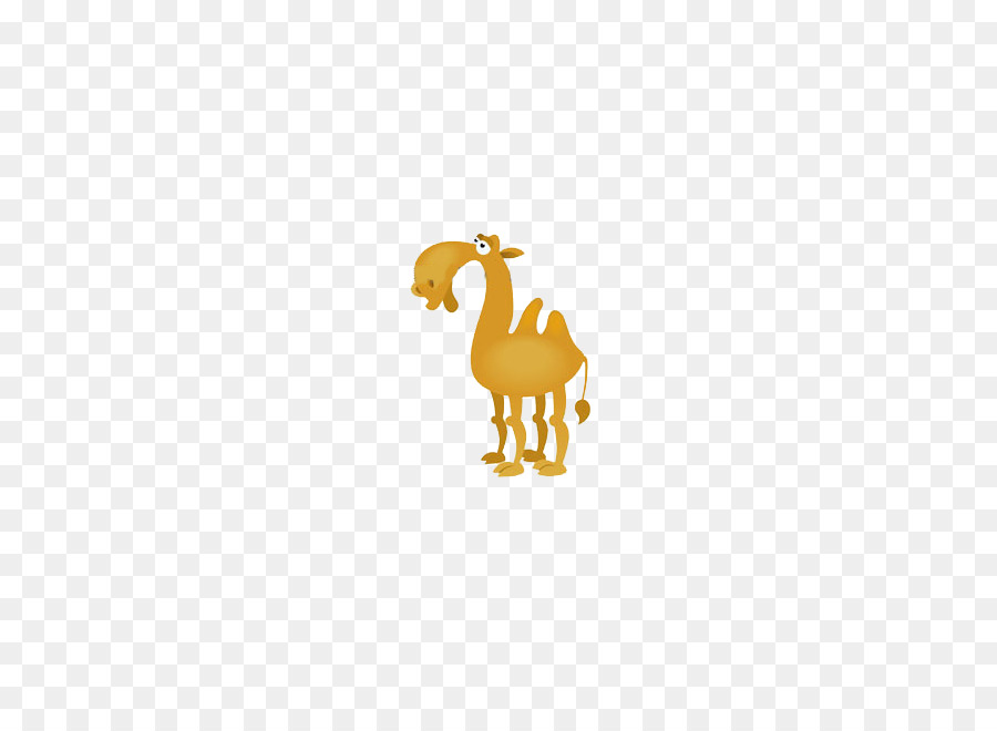 Camello，Pato PNG