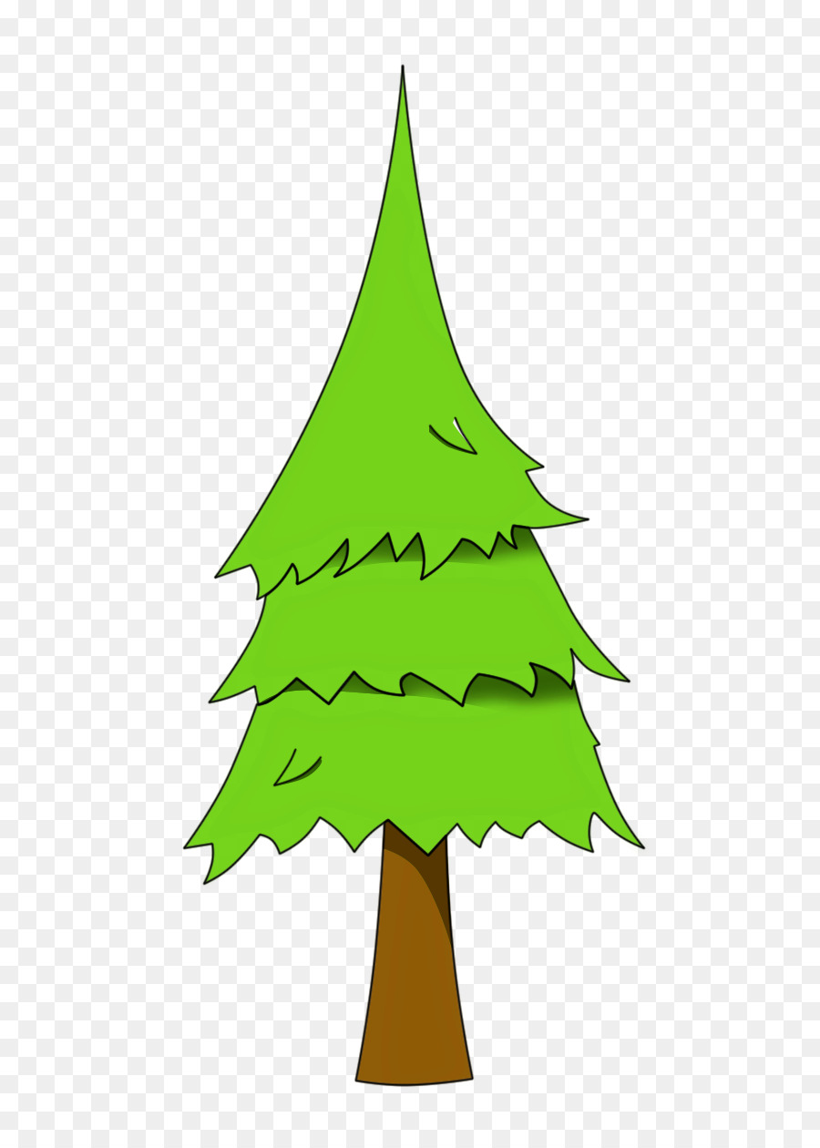 Pinus Palustris，árbol PNG