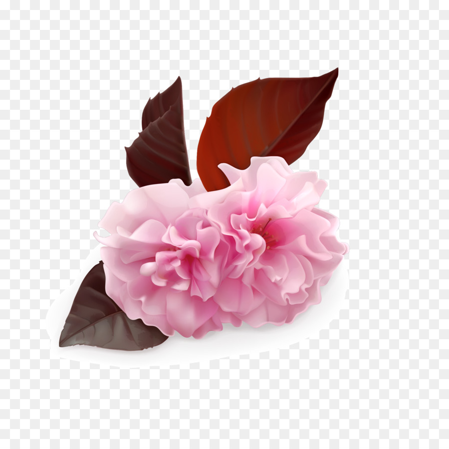 Flor Rosa，Floración PNG